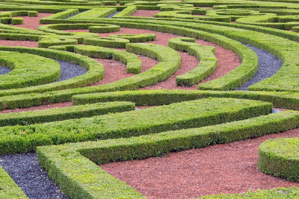 Fontainebleau & Vaux-le-Vicomte Châteaux Day Tour from Paris - Price and Value: Is $123 a Fair Deal?