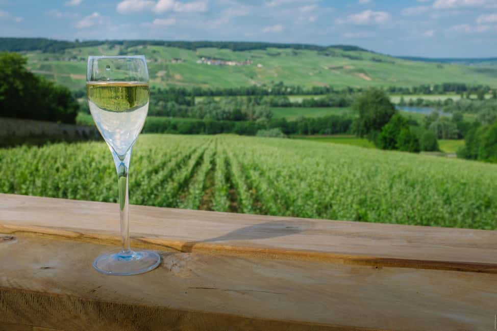 From Paris: Champagne Day Trip with 7 Tastings and Lunch - Price and value: is $293 for Champagne education worth it?
