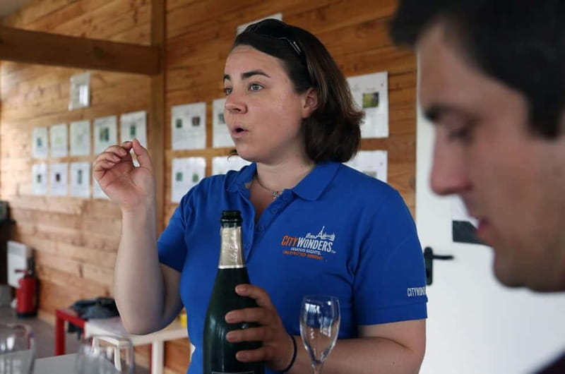 From Paris: Champagne Day Trip with 7 Tastings and Lunch - The second Champagne house: family-owned craft and another round of tastings