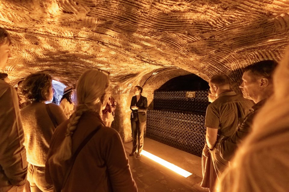 From Paris: Day Trip to Champagne with 8 Tastings & Lunch - The vineyard drive-by tasting: terroir talk with real views
