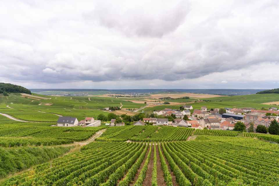 From Paris: Day Trip to Champagne with 8 Tastings & Lunch - Stop two: a smaller estate or cooperative with a different style of Champagne