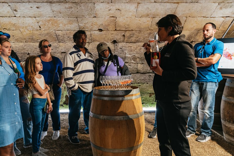 From Paris: Loire Valley Castles Day Trip With Wine Tasting - Meeting at the Catacombs: Where the Day Starts Smoothly
