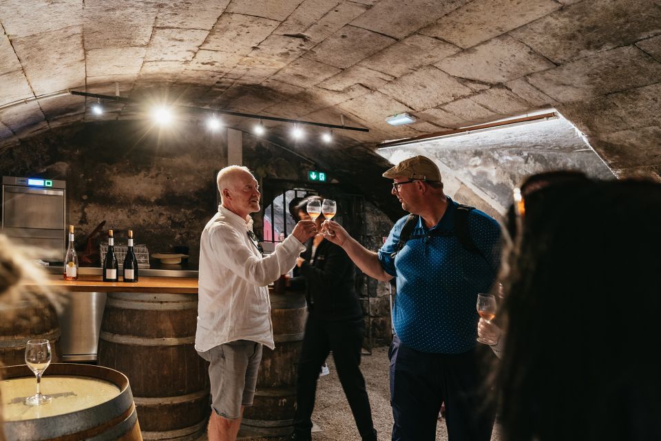 From Paris: Loire Valley Castles Day Trip With Wine Tasting - Who Should Book This Day Trip (and Who Should Rethink It)