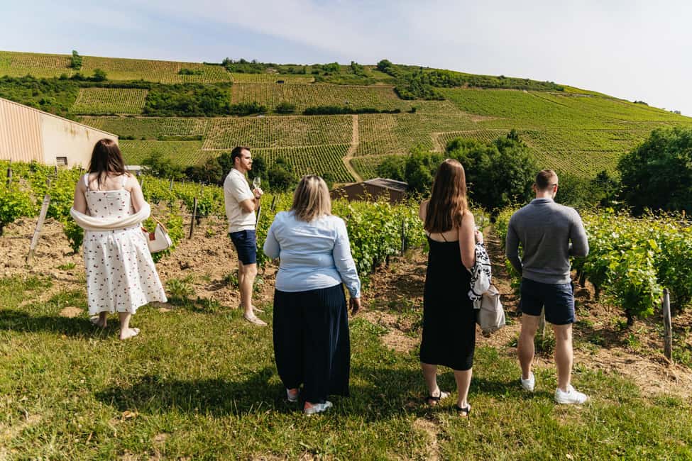 From Paris: Private Sancerre Wine Tour w 10 Tastings & Lunch - The vineyard-view wine stop: learning vine work without the lecture
