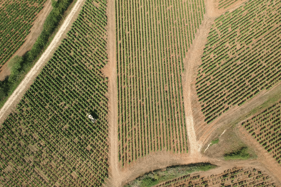 From Paris: Private Sancerre Wine Tour w 10 Tastings & Lunch - Winery visits with tastings: what you’re really paying for