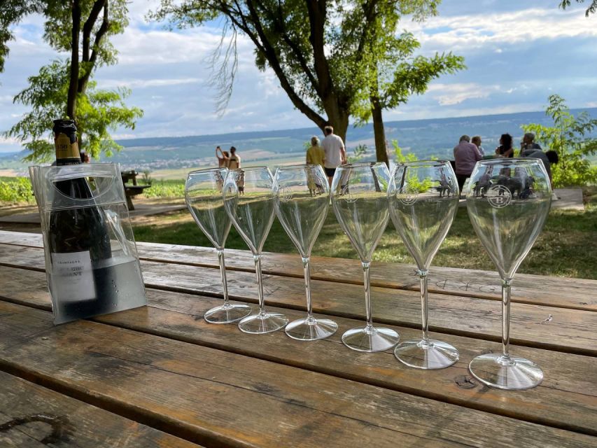 From Paris: Reims and Champagne Tasting Full-Day Tour - A door-to-door Champagne day from Paris that actually feels doable