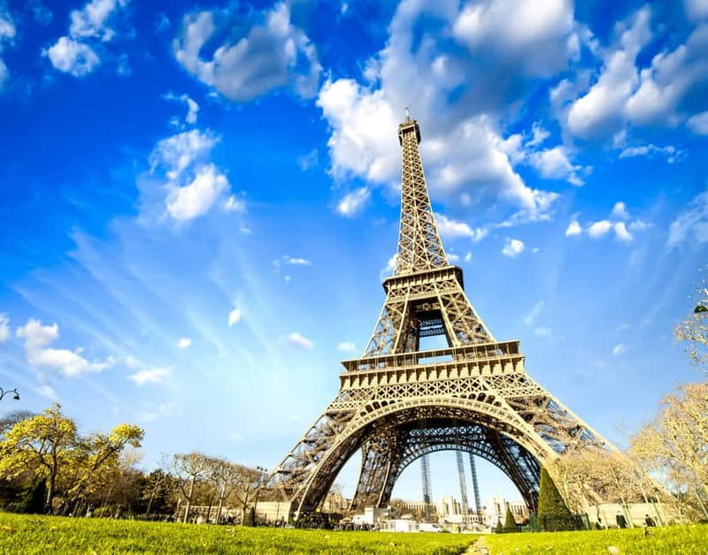 Highlights of Paris Bike Tour in English or Dutch - Key highlights to look forward to