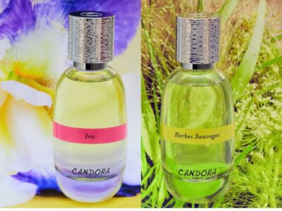Paris: 2-Hour Perfume Creation Workshop - Finding the workshop near Île Saint-Louis (and why timing matters)