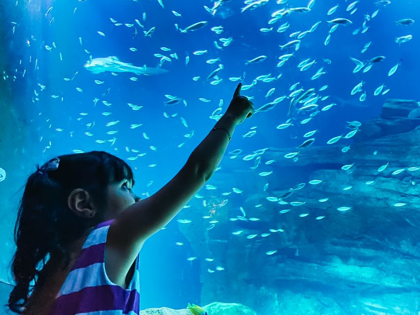 Paris: Aquarium de Paris Entrance Ticket - Quick Highlights You’ll Actually Care About
