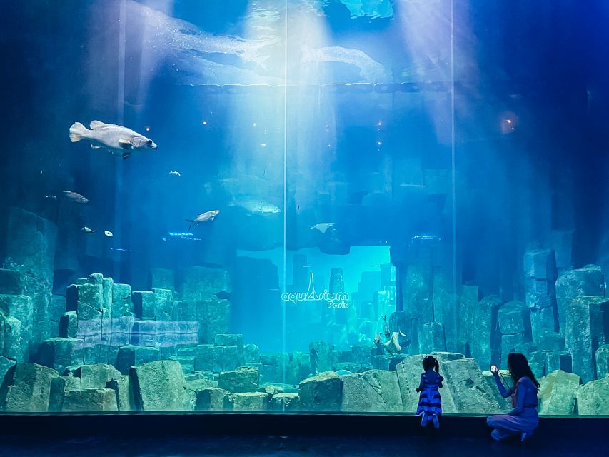 Paris: Aquarium de Paris Entrance Ticket - Exhibit walk-through: jellyfish, sharks, stingrays, and the fish you didn’t expect