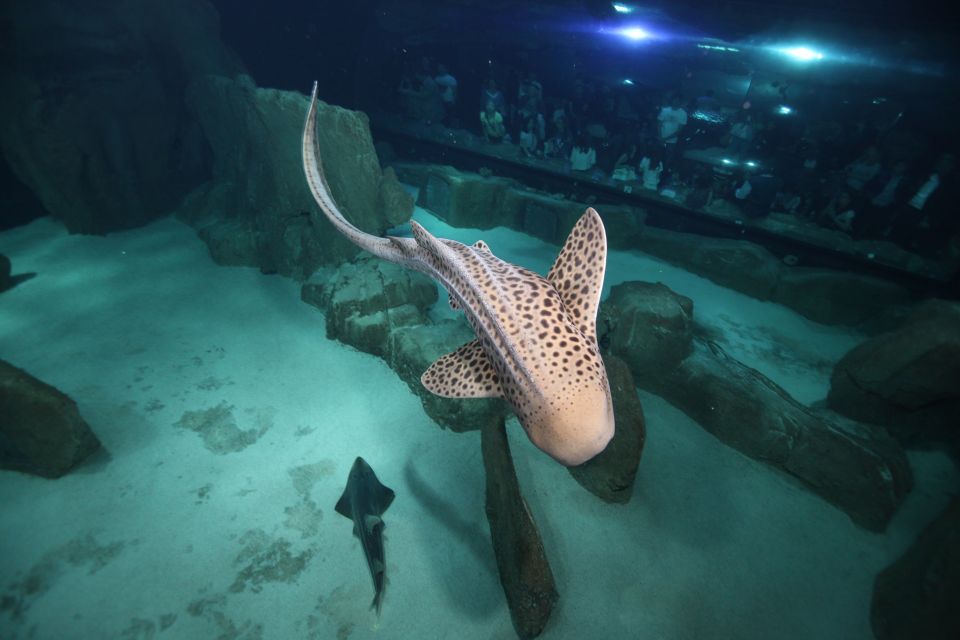Paris: Aquarium de Paris Entrance Ticket - Touch pool time: the best idea here, with one real-world caution