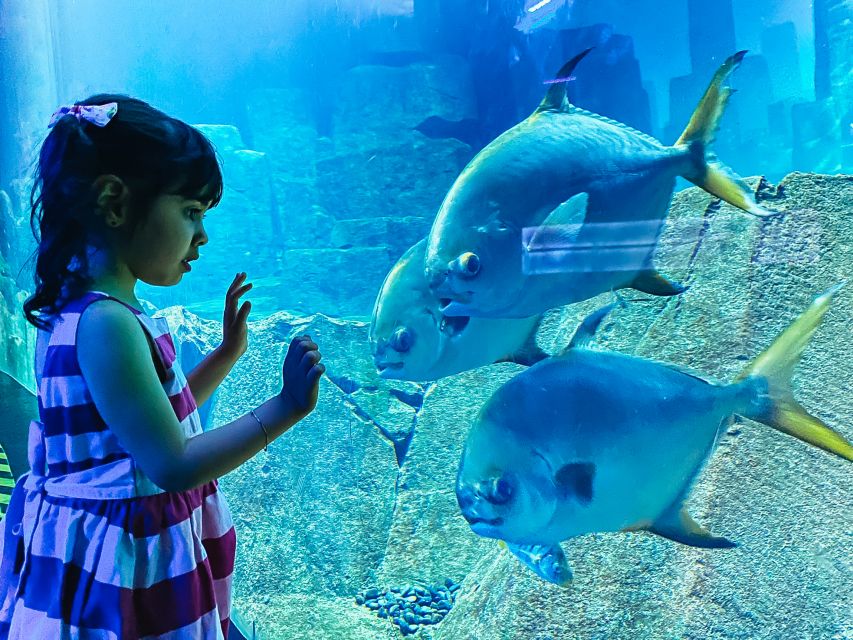 Paris: Aquarium de Paris Entrance Ticket - Size, crowd flow, and why timing can change everything