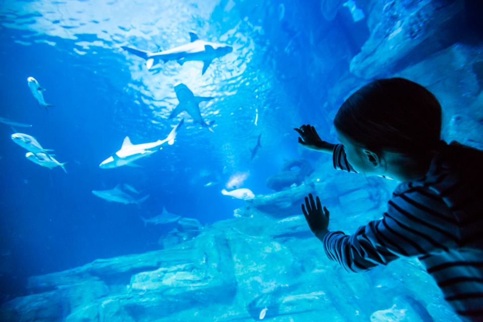 Paris: Aquarium de Paris Entrance Ticket - Tickets, skip-the-line entry, and how self-guided it really feels