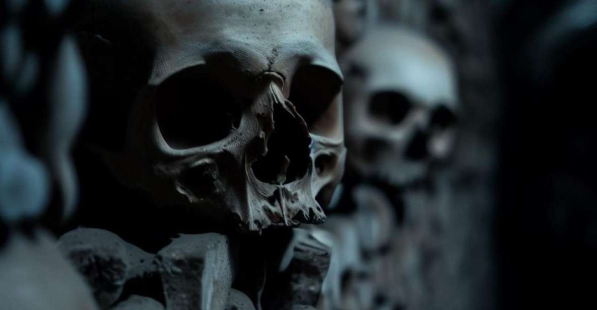 Paris: Catacombs, Audio Guide, and River Cruise Option - Audio guide experience: how well it works
