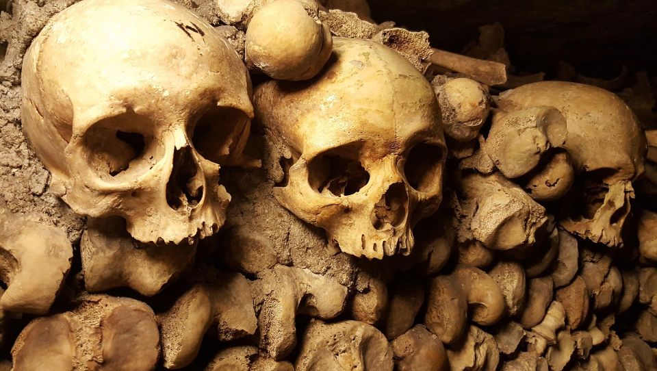 Paris: Catacombs Ticket and Seine River Cruise - My Decision Guide: Should You Book This Combo?