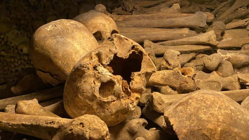 Paris: Small-Group Catacombs Tour with Skip-the-Line Entry - The Catacombs Start With a 133-Step Reality Check