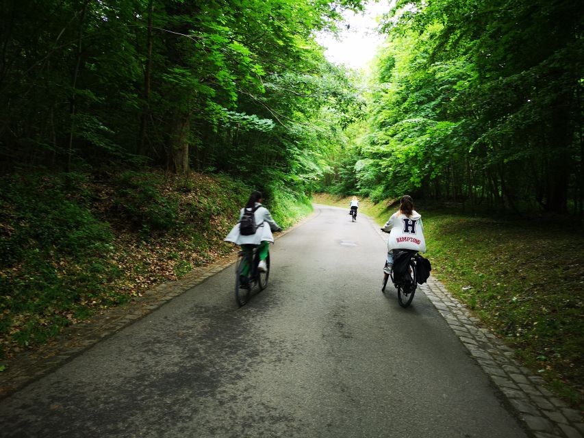 Paris: Versailles Palace and Queen Hamlet E-Bike Tour - Grand Trianon, Petit Trianon, and Marie-Antoinette’s Hamlet: what to expect on your time crunch